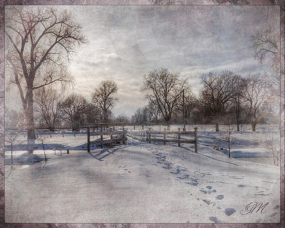 Winter Landscape
