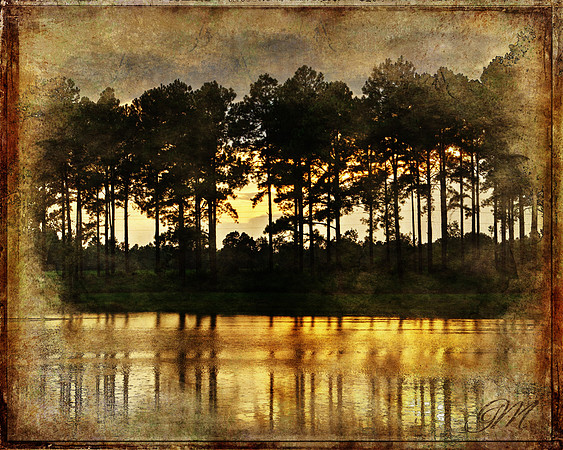 Golden sunset