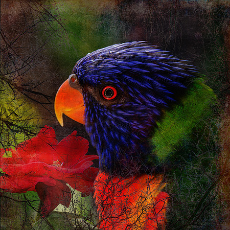 Striking Display