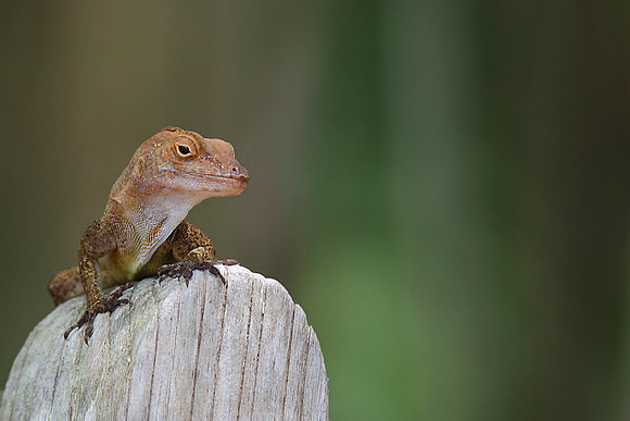 On the edge