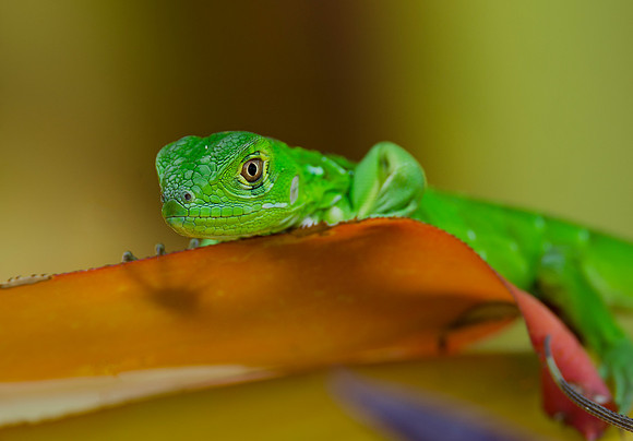 I'm watching you!