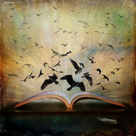 Open Book