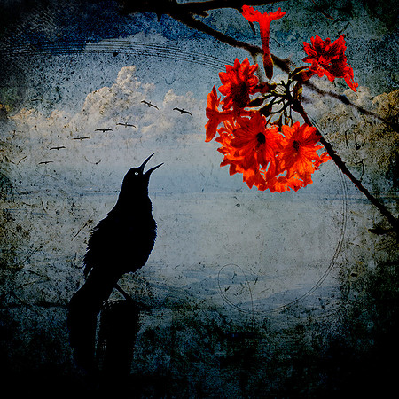 Longing