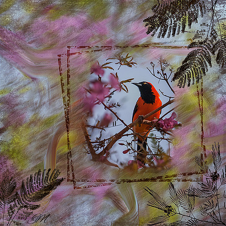 Pretty in Orange
