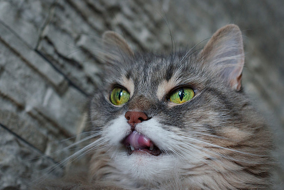Day 135 - Low Angle