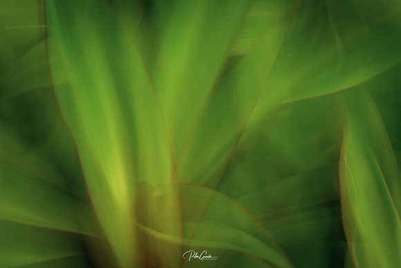 Day 9 - Color Green