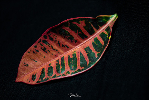 Day 44 - Symmetry - 2