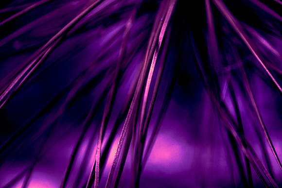 Day 50 - Color Purple