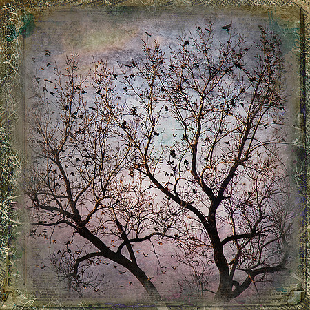 Enchanted