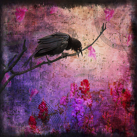 Moment of Imagination